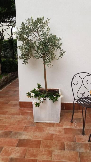 Giardino Mediterraneo 拉科阿梅诺 外观 照片