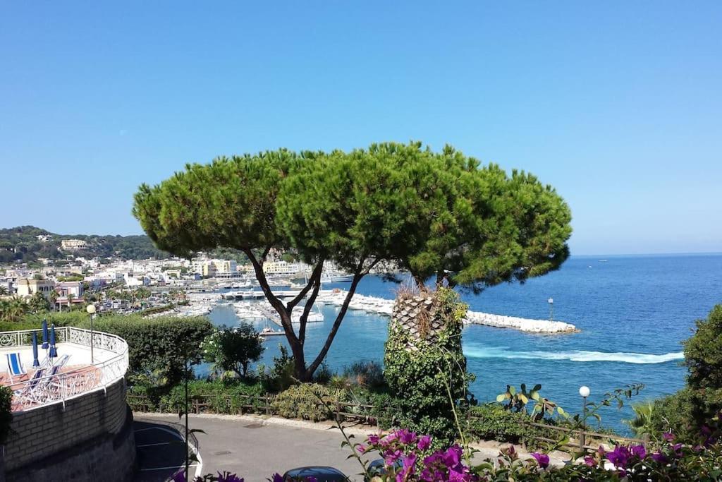 Giardino Mediterraneo 拉科阿梅诺 外观 照片