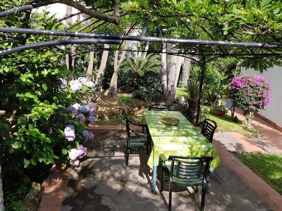 Giardino Mediterraneo 拉科阿梅诺 外观 照片