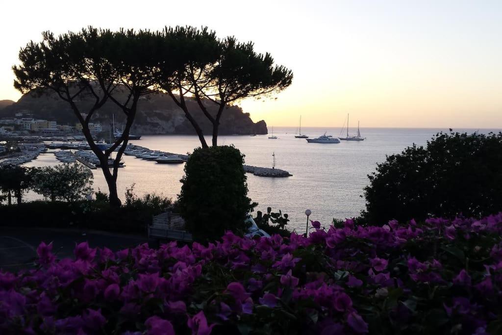 Giardino Mediterraneo 拉科阿梅诺 外观 照片