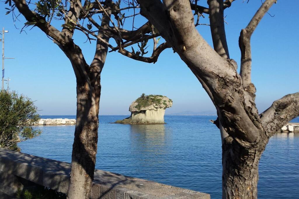 Giardino Mediterraneo 拉科阿梅诺 外观 照片
