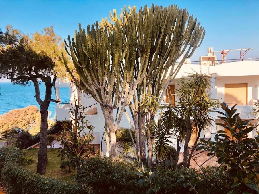 Giardino Mediterraneo 拉科阿梅诺 外观 照片