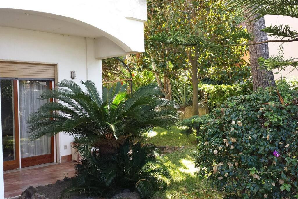 Giardino Mediterraneo 拉科阿梅诺 外观 照片