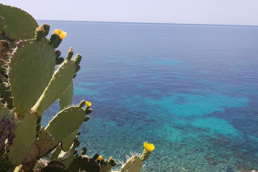 Giardino Mediterraneo 拉科阿梅诺 外观 照片