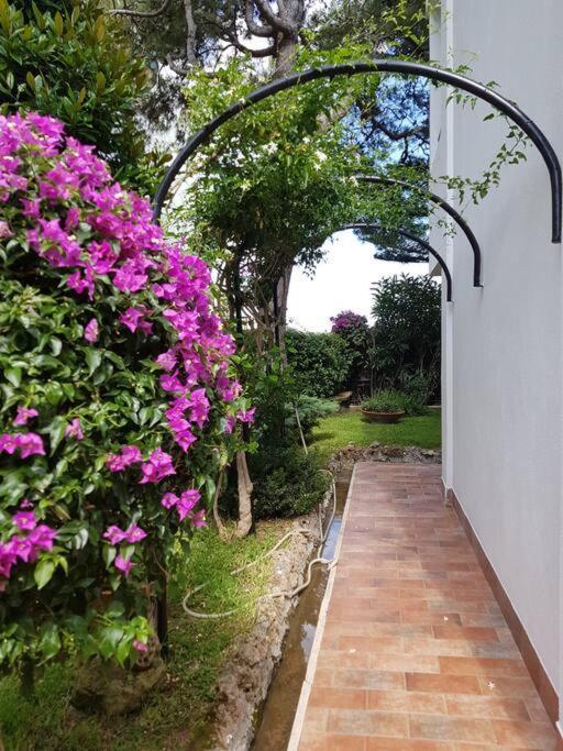 Giardino Mediterraneo 拉科阿梅诺 外观 照片