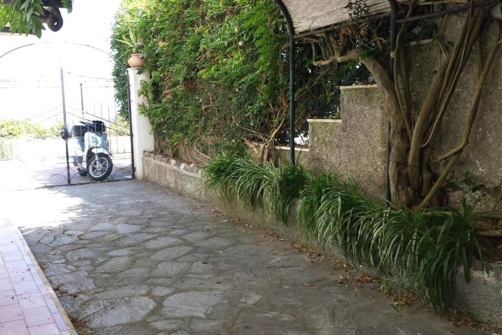 Giardino Mediterraneo 拉科阿梅诺 外观 照片